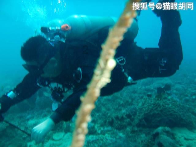 住营省政协委员出席省政协十三届二次会议开幕会